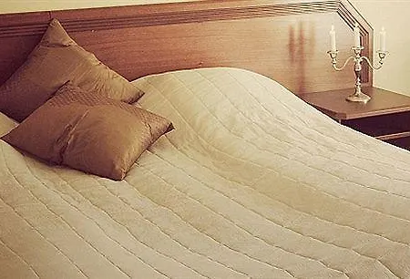 Dovrefjell Hotell 3*